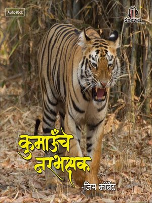 cover image of Chaughadche Wagh